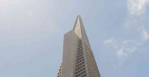 Vivo手机是否能下载ins