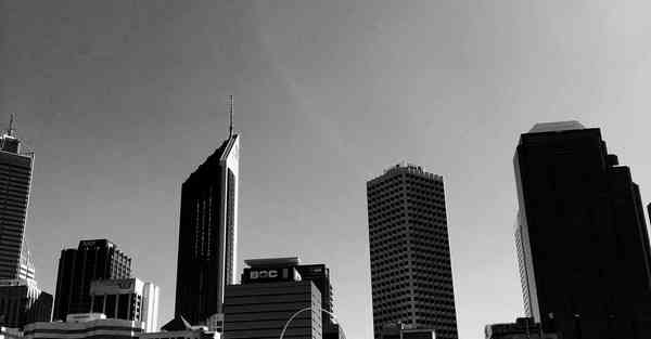 佛跳墙下载专业