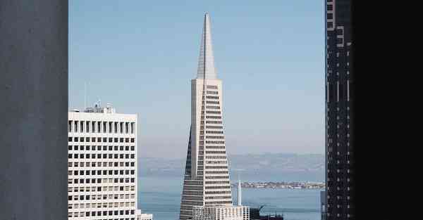 海豚加速器破解版最新